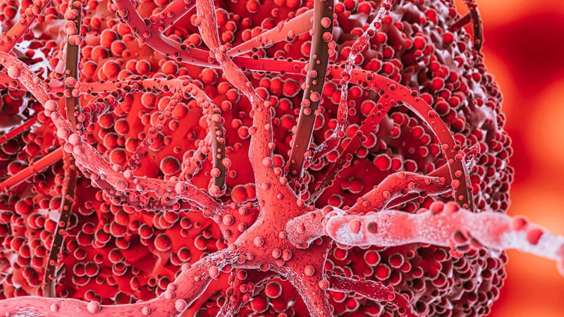 blood-clot1 Visual representation of a blod clot