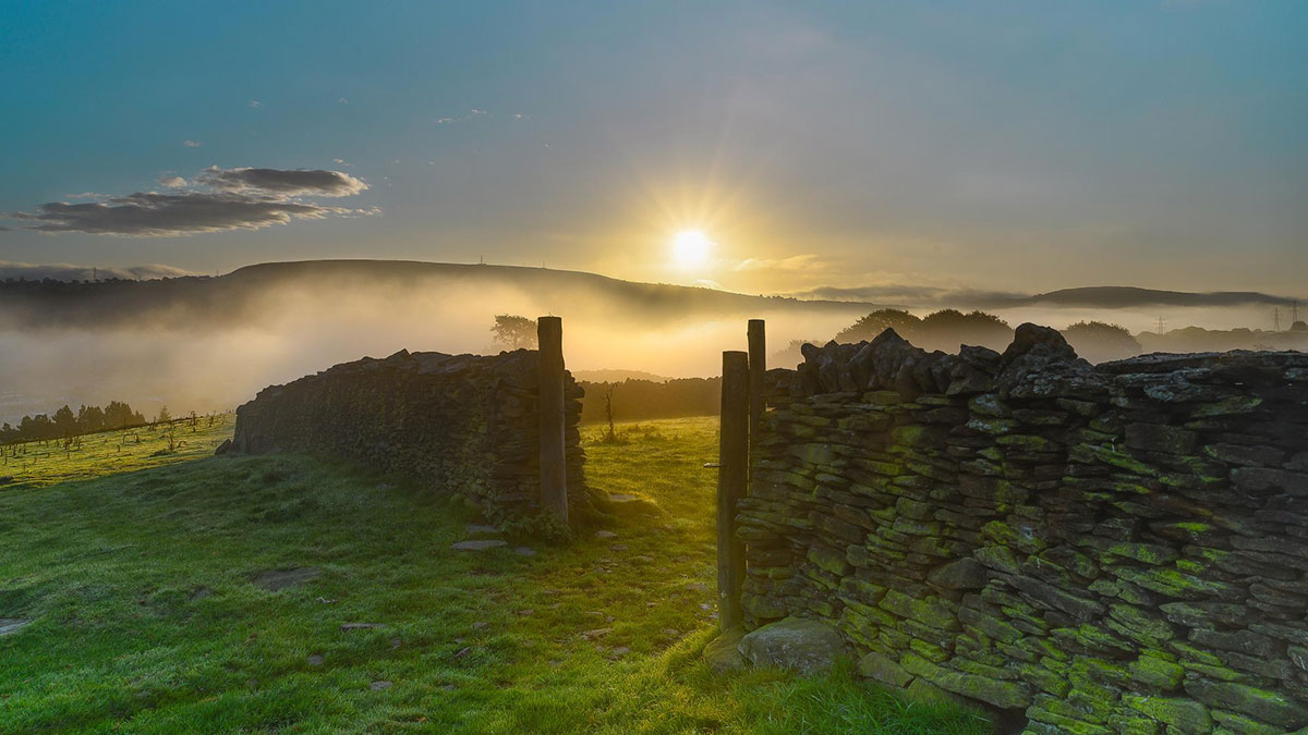 A gate in a field in Ireland, representing immigration to the country